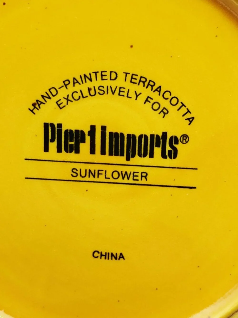 Pier 1 Sunflower Chip & Dip Server Terracotta Veggie & Dip Serving Plate